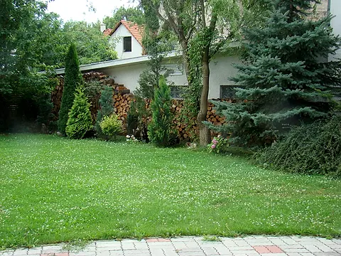 Trávnatý dvor na hry lemovaný ihličnanmi