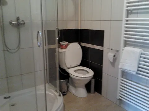 Kúpeľňa so sprchovým kútom, toaletou a sušiakom na uteráky