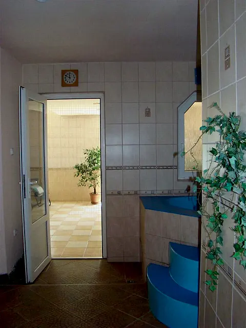 Ochladzovací bazénik so schodíkmi vo wellness